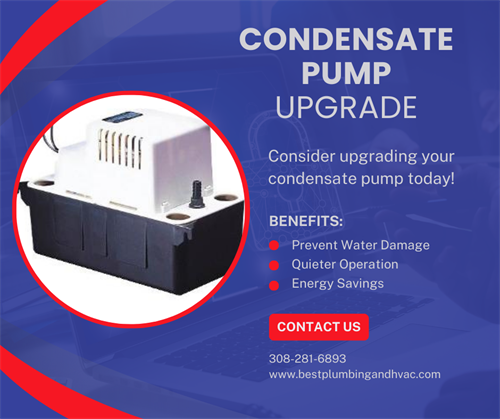 Gallery Image Monthly_Product_Highlight_(11).png