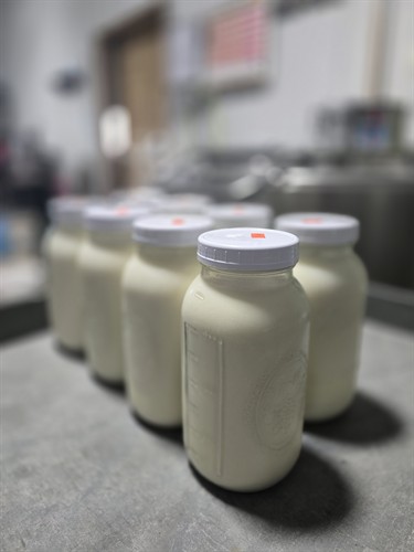 Raw A2A2 Milk