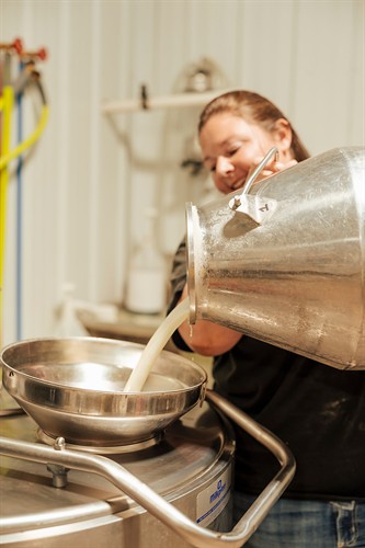 Dumping milk into our rapid chilling tank