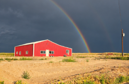 Our Farm 