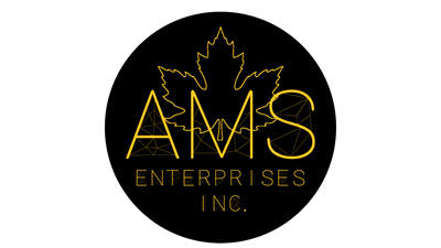 American Marketing Service Enterprises Inc.