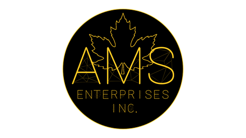 Gallery Image AMS_Enterprises_Logo_2024.png