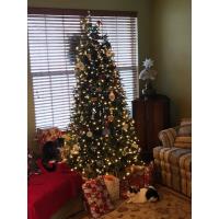 Five Holiday Home Safety Tips