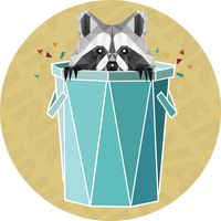 Trash Panda Junk Removal LLC