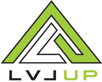 LevelUp Consulting, LLC