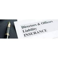 Directors and Officers Liability Coverage: Covering the Board's ASSETS! - VIRTUAL Class w/Mercy Komar