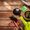 2020 Home & Garden Expo