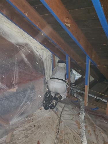 Gallery Image Attic_insulation.jpeg