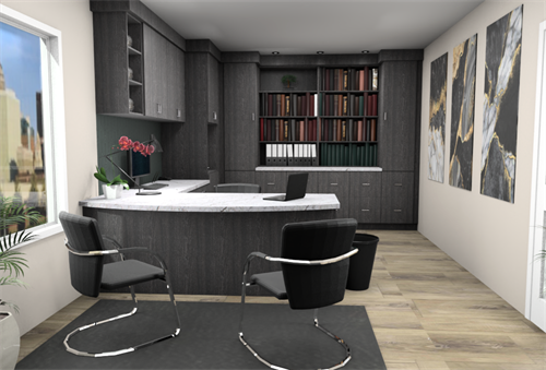 Professional Offices - Executive office