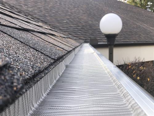 LeafBlaster: Stainless-steel micro-mesh gutter guard. Great against pine needles. 