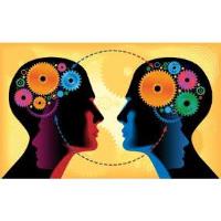 Board of Directors Meeting of the Minds