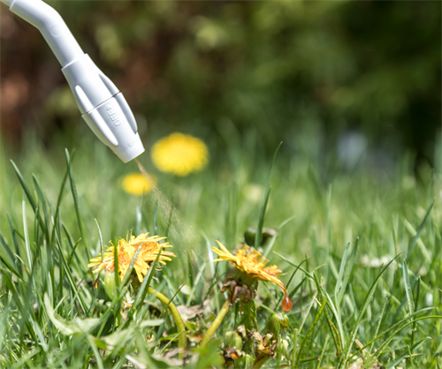 HERBICIDES 