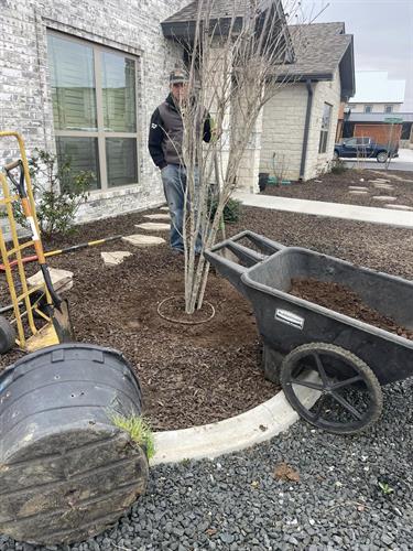 New Landscaping Installs and Refreshes