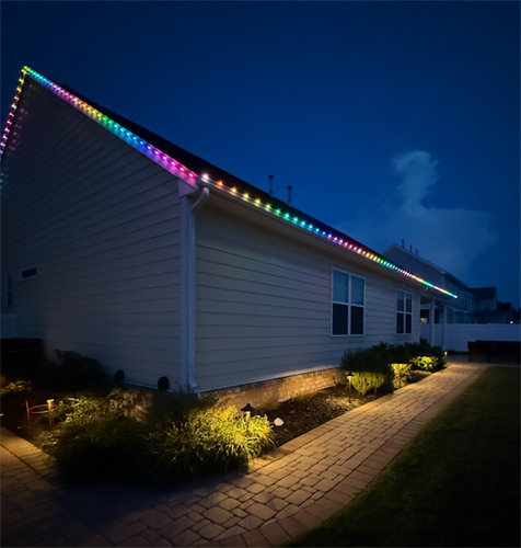 Gallery Image June_Everlights_Install_(1).png