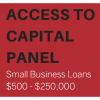 Access To Capital Panel