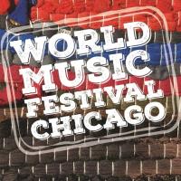 Beatdown Soundsystem at  World Music Festival Chicago