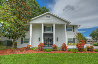 Gallery Image carrollwood-office-for-rent-photo-14001-n-dale-mabry-tampa-fl-33618.jpg