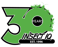 Insect IQ