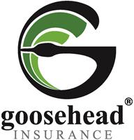 Goosehead Insurance- Friedly Agency