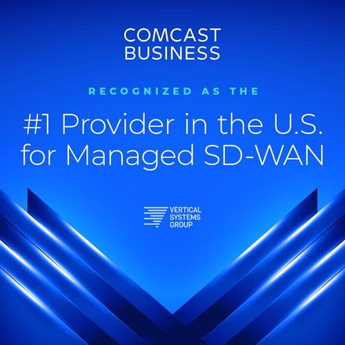 Gallery Image Number_1_SD-WAN_provider_image.jpg