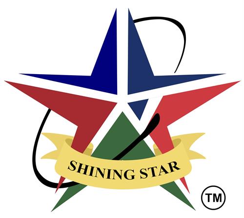 SHINNG STAR NETWORK, LLC