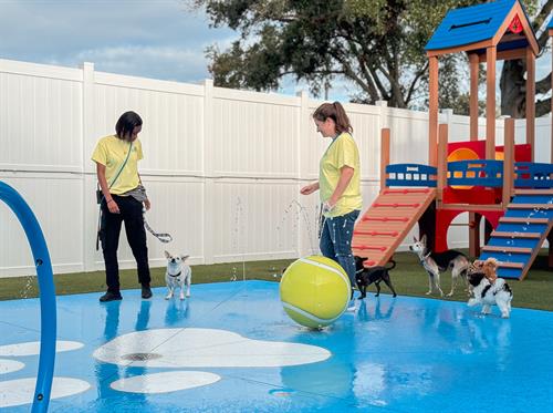 Gallery Image Splashpad_2.JPG