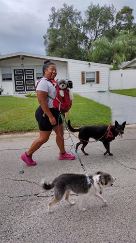 We work with all dog sizes, and number of dogs.