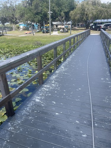 bird poop dock
