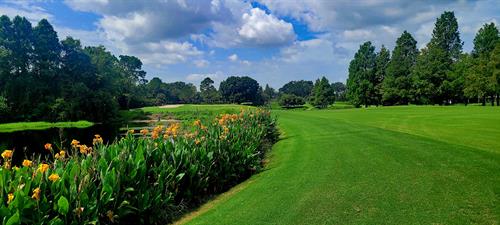 Gallery Image Carrollwood_Country_Club__Cypress_Course_The_Golfin_Guy_5.jpg