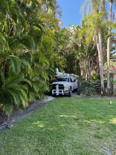 Gallery Image Hoist_Truck_1.jpg