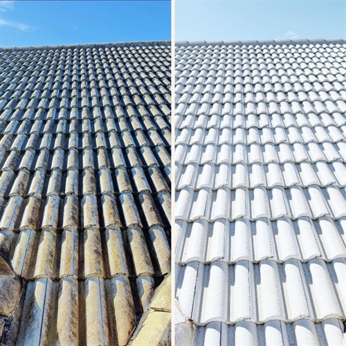 Gallery Image Before_and_After_Square_(27).jpg