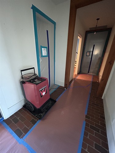 Gallery Image IMG_5532.jpeg