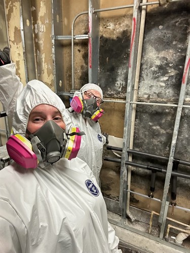 Gallery Image IMG_9725.jpeg