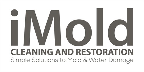 Gallery Image iMold-Logo-01_-_NEW_PRIMARY.jpg