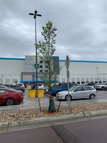 Gallery Image IMG_2234.jpeg