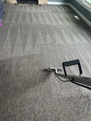 You can see the dirt line in these residential carpets as their being steam cleaned You can see the dirt line in these residential carpets as their being steam cleaned