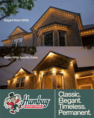 Humbug Permanent Lighting