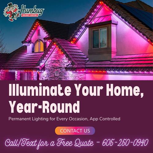 Humbug Permanent Lighting