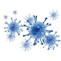 Semi-Weekly AGC MA Member Coronavirus Forums - Safety Q&A