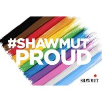 Pride Month: Pronoun and Inclusive Language Training - Hosted by Shawmut Design and Construction