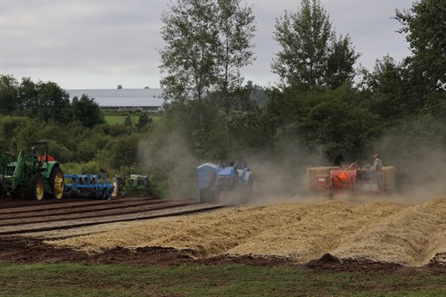 Adding Straw to Ginseng Garden