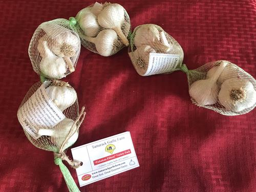 Garlic Variety Package