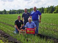 Co-Owners Richard & Roderick Gumz with our salesmen Doug Bulgrin and Tom Bulgrin posing in an onion field. 
