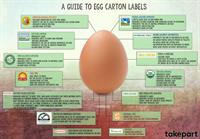 egg chart