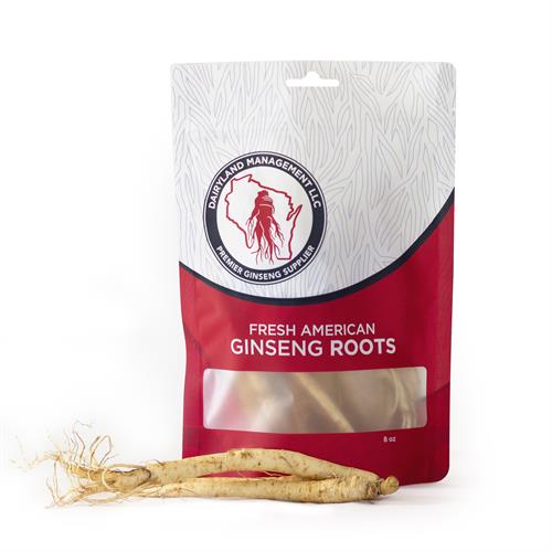 Wisconsin Fresh Ginseng Root