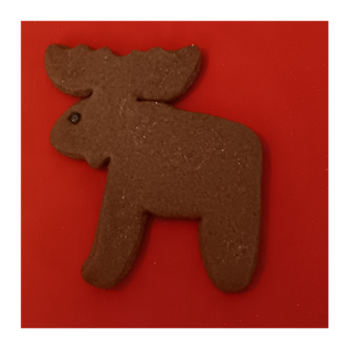 Gallery Image 20250824_182433.png