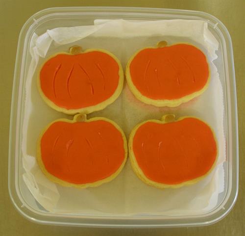 Gallery Image Pumpkins.jpg