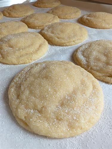 Sugar Cookies Sugar Cookies