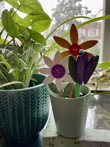 Desktop Garden Flowerpot