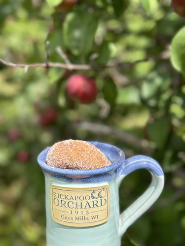 Kickapoo Orchard Apple Cider Donuts